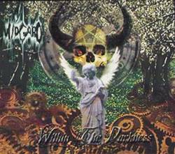 Midgard (USA) : Within the Darkness